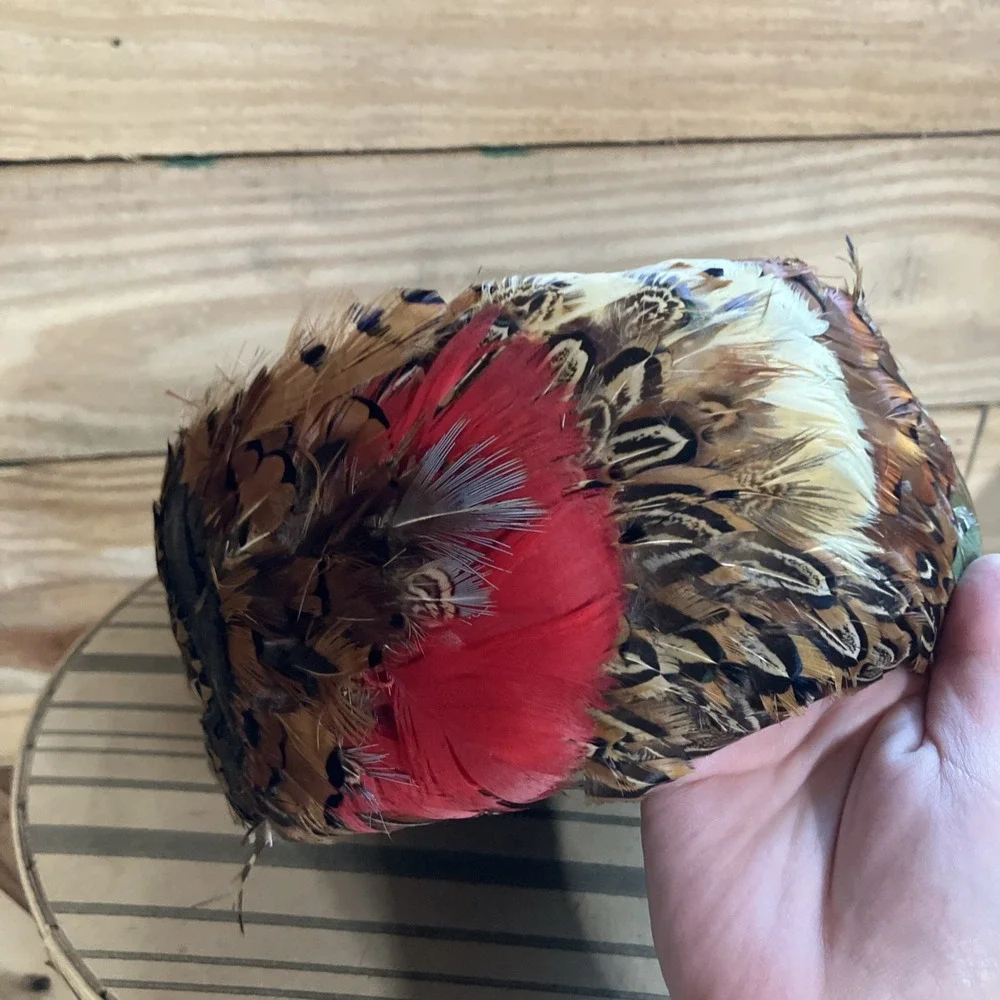 Ostrich Plume Feather Pirate/Steampunk/Fancy Victorian Hat